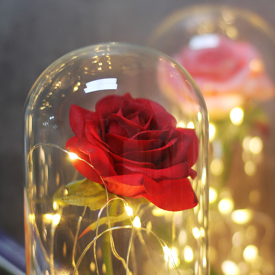 Rose Eternelle - Cloche de Verre