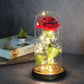 Rose Eternelle - Cloche de Verre